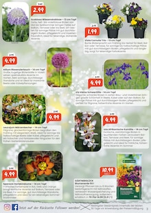 Blumenerde im Raiffeisen Rhein-Ahr-Eifel Handelsgesellschaft mbH Prospekt "Beerenstark in die Saison" mit 8 Seiten (Bonn)