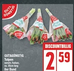 EDEKA Ahrensfelde Prospekt mit  im Angebot für 2,59 €