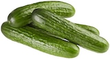 Aktuelles Mini Gurke Angebot bei REWE in Frankfurt (Main) ab 0,39 €