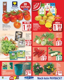 Salat Angebot im aktuellen EDEKA Prospekt auf Seite 5