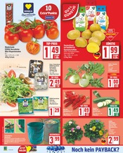 Kräuterseitling Angebote im Prospekt "Aktuelle Angebote" von EDEKA auf Seite 5