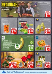 Aktueller E center Prospekt mit Pflanzen, "Top Angebote", Seite 6