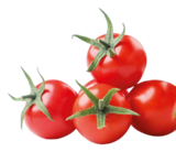 BIO MINI-RISPENTOMATEN Angebote bei REWE Bergheim für 1,69 €