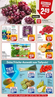 Tomaten im REWE Prospekt "Dein Markt" mit 32 Seiten (Siegen (Universitätsstadt))