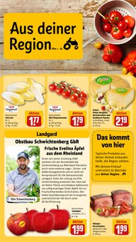 Tomaten im REWE Prospekt "Dein Markt" mit 32 Seiten (Siegen (Universitätsstadt))