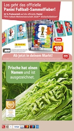 Paderborner im REWE Prospekt in Remscheid Aktueller REWE Prospekt mit Paderborner, "Dein Markt", Seite 30