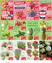 Aktueller Kaufland Prospekt mit Erdbeeren, "Aktuelle Angebote", Seite 5