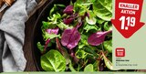 Aktuelles Wildkräuter Salat Angebot bei REWE in Nürnberg ab 1,19 €