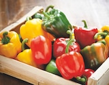 Promo Poivron tricolore à 1,29 € dans le catalogue Intermarché à Cucq