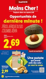 Prix et réduction Avocat dans le prospectus Lidl en cours Offre Avocat dans le catalogue Lidl du moment à la page 4