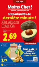 Promos Avocat dans le catalogue "LE MOIS TOUJOURS PLUS" de Lidl à la page 4 Promos Avocat dans le catalogue "LE MOIS TOUJOURS PLUS" de Lidl à la page 4