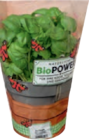 Bio-Basilikum XXL im Topf von Bioland im aktuellen tegut Prospekt für 3,99 €