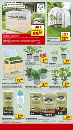 Pflanztopf Angebot im aktuellen toom Baumarkt Prospekt auf Seite 10