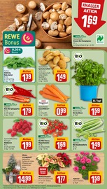 Aktueller REWE Prospekt mit Kartoffeln, "Dein Markt", Seite 7