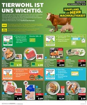 Aktueller Kaufland Prospekt mit Hackfleisch, "KNÜLLER", Seite 22