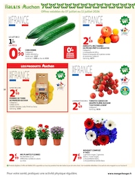 Prix et réduction Fleurs dans le prospectus Auchan Hypermarché en cours Offre Fleurs dans le catalogue Auchan Hypermarché du moment à la page 28