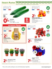 Promotion Plantes dans le prospectus Auchan Hypermarché, valable du 07/07/2026 au 19/07/2026 Promo Plantes dans le catalogue Auchan Hypermarché du moment à la page 28