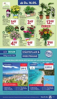 Deko-Blumen Angebot im aktuellen ALDI Nord Prospekt auf Seite 25