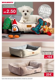 Woolworth Hundebett im Prospekt 