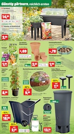 Aktueller Thomas Philipps Prospekt mit Tomaten, "Top Angebote", Seite 12