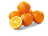 Bio Orangen im Angebot bei REWE in Emden Bio Orangen Angebote von REWE Bio bei REWE Emden für 1,99 €