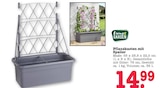 Aktuelle Blumentopf Angebote bei E center in Karlsruhe Aktuelles Pflanzkasten mit Spalier Angebot bei E center in Karlsruhe ab 14,99 €