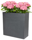 Aktuelle Blumentopf Angebote bei Thomas Philipps in Karlsruhe Aktuelles Pflanzkasten Angebot bei Thomas Philipps in Karlsruhe ab 39,99 €