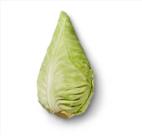 Kaufland Schönwalde - Dtsch. Spitzkohl Angebot im Prospekt Dtsch. Spitzkohl bei Kaufland im Schönwalde Prospekt für 0,99 €