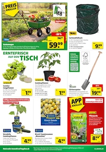 Schubkarre im Hagebaumarkt Prospekt "So günstig geht das!" mit 18 Seiten (Moers)