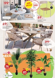 Offre Palmier dans le catalogue Maxi Bazar du moment à la page 8