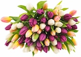 Aktuelles Tulpen Hot & Fresh Angebot bei Penny in Reutlingen ab 3,99 €