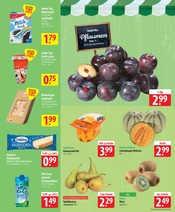 Aktueller famila Nordost Prospekt mit Wasser, "besser als gut!", Seite 4