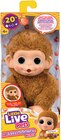 Mon Bébé Singe MNI - Intermarché Hyper à Agen Mon Bébé Singe MNI en promo chez Intermarché Hyper Agen à 19,90 €