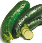 Zucchini im aktuellen Netto mit dem Scottie Prospekt