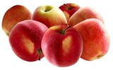 Aktuelle Äpfel Angebote bei REWE in Essen Aktuelles Tafeläpfel Elstar Angebot bei REWE in Essen ab 1,59 €