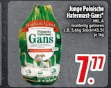 Junge Polnische Hafermast-Gans Angebote von KrakauerLand bei EDEKA Ravensburg für 7,77 €