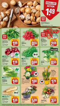 Pflanzen im aktuellen REWE Prospekt (Herne) Pflanzen im REWE Prospekt "Dein Markt" mit 30 Seiten (Herne)