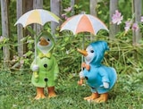 Canard sous la pluie en promo chez Super U Rambouillet à 4,99 €