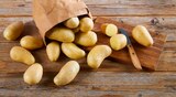 Speisekartoffeln Angebote von REWE Beste Wahl bei REWE Hofheim für 1,99 €