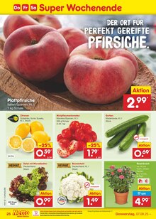 Weintrauben im Netto Marken-Discount Prospekt "Aktuelle Angebote" mit 61 Seiten (Leipzig)