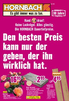 Laminat im Hornbach Prospekt "Den besten Preis kann nur der geben, der ihn wirklich hat." mit 34 Seiten (Magdeburg)