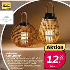 LED-Laterne Angebote von dekorado bei Netto mit dem Scottie Stendal für 12,99 €