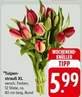 Tulpenstrauß XL Angebote bei E center Schorndorf für 5,99 €