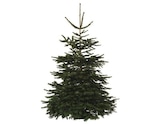 Sapin de Noël Nordmann 210-240 cm + bûche en promo chez Brico Dépôt Le Mans à 32,90 €