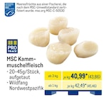 Aktuelles MSC Kammmuschelfleisch Angebot bei METRO in Nürnberg ab 43,86 €