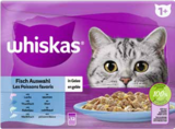 Aktuelles Katzennahrung Angebot bei EDEKA in Frankfurt (Main) ab 3,99 €