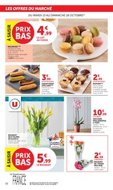 Promos Plante Verte dans le catalogue "LES PRODUITS U À PRIX BAS" de Super U Plante Verte en promo dans le catalogue Super U à la page 22