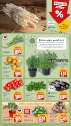 REWE Blumen im Prospekt 