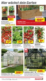 Aktueller toom Baumarkt Prospekt mit Tomaten, "Respekt, wer's selber macht.", Seite 9