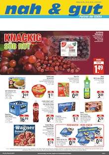 Pepsi im nah und gut Prospekt "Wir lieben Lebensmittel!" mit 4 Seiten (Würzburg)